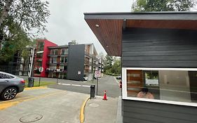 Departamentos Espacio Pucon